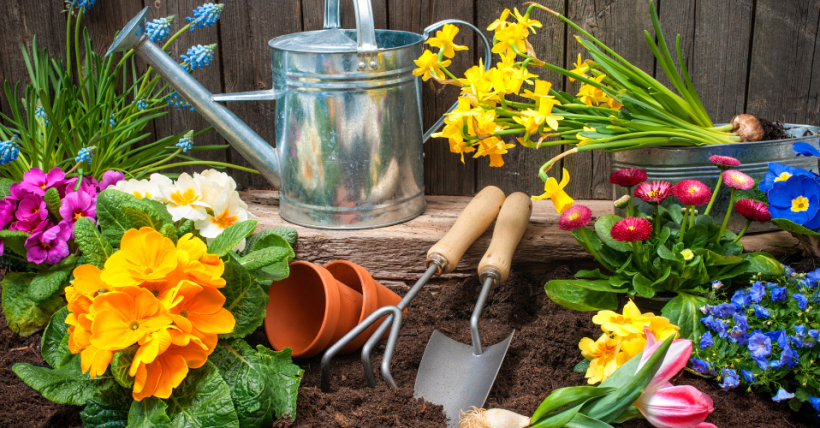 Spring Home Gardening Tips 